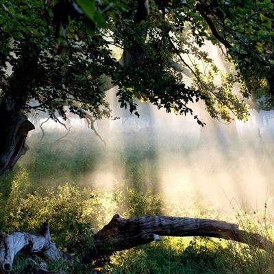 江南APP手机app下载