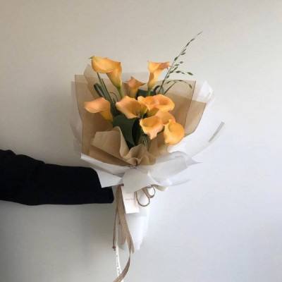 m6米乐官方网站登录入口APP下载