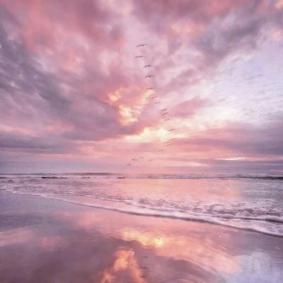 196体育(官方)APP下载安装