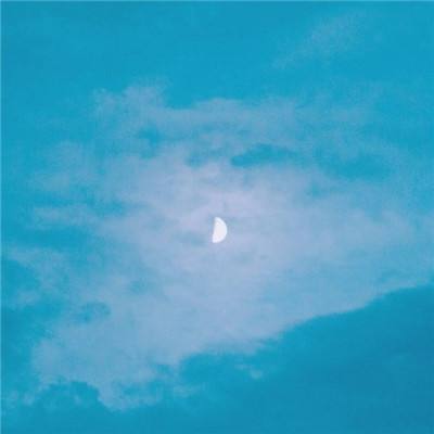 篮球体育彩票app