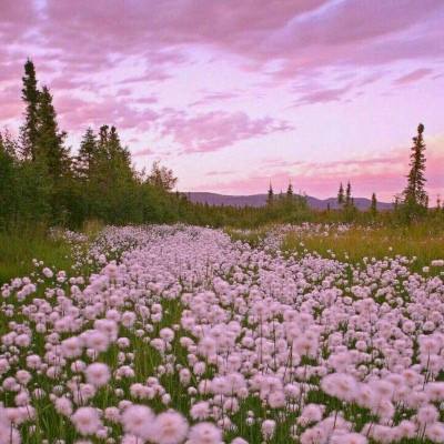 半岛棋牌游戏下载手机版