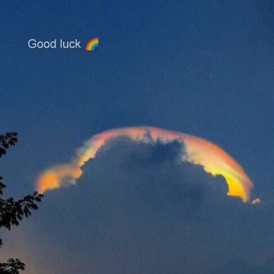 博鱼APP官方网站