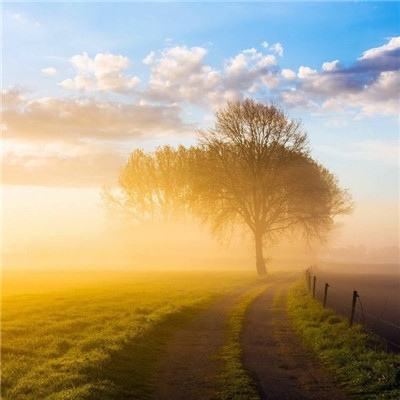 澳门新葡萄新京8883下载手机版